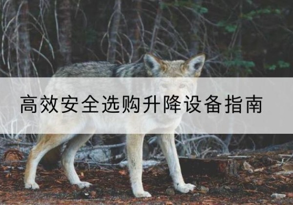 孟村升降货梯厂家推荐-*安全选购升降设备指南