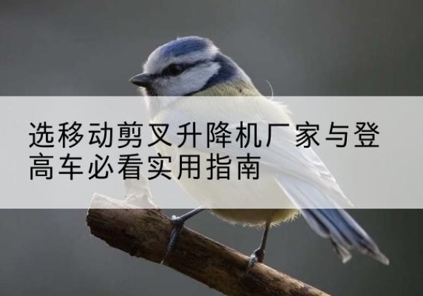 孟村电动升降机厂家-选移动剪叉升降机厂家与登高车必看实用指南