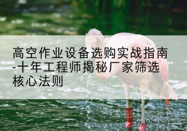 孟村剪叉式升降机厂家-高空作业设备选购实战指南-十年工程师揭秘厂家筛选核心法则